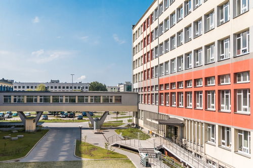爱游戏娱乐-中国篮球教练员执教能力提升与培训体系建设,篮球教练员培训管理系统